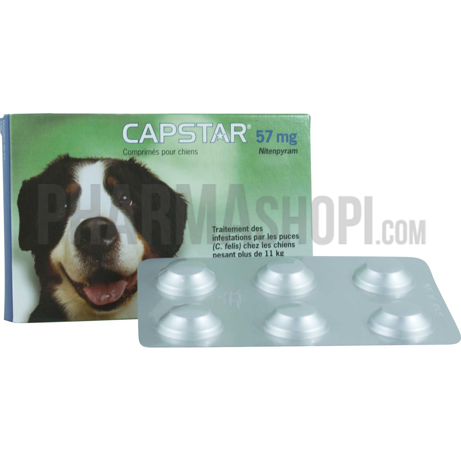 Capstar Chat 11,4mg - 6 comprimés - Pharmacie en ligne