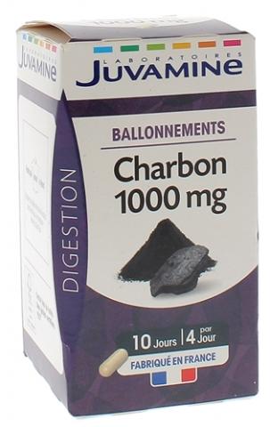 Charbon Bio et Français gélules : Digestion & Détox – NATETLAB