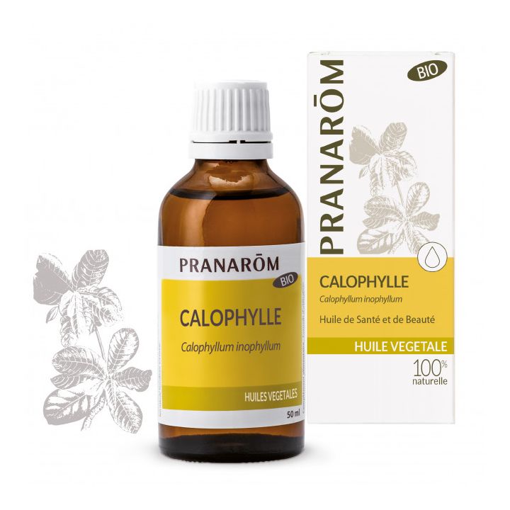 Huile végétale Calophylle bio Pranarôm - flacon de 50 ml