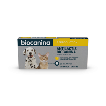 Antilactis Biocanina - boîte de 30 comprimés sécables