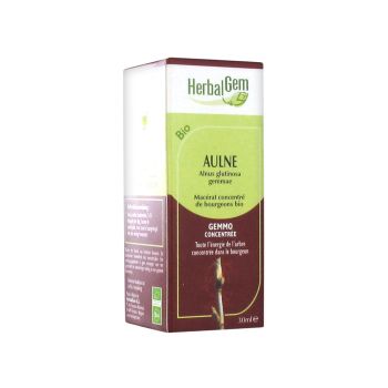 Aulne BIO Herbalgem - 30 ml