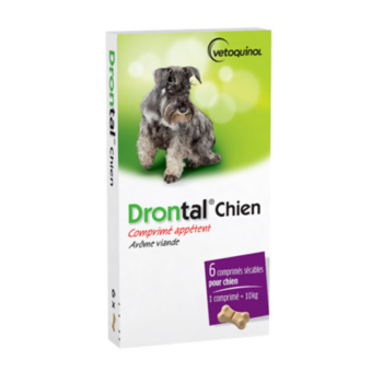 Dontral chien comprimé appétent arôme viande Vetoquinol - 6 comprimés sécables pour chien