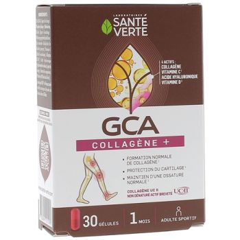 GCA FLEX + Protection Cartilage Santé Verte - boîte de 30 gélules végétales