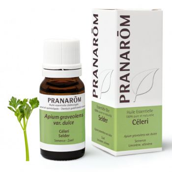 Huile essentielle de Céleri Pranarôm - flacon de 10 ml