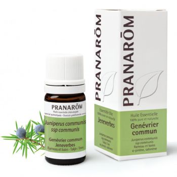 Huile essentielle de Genévrier commun Pranarôm - flacon de 5 ml