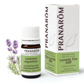 Huile essentielle de Lavande fine AOP Pranarôm - flacon de 5 ml