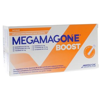 Megamag One Boost Mayoly Spindler - boîte de 10 sticks