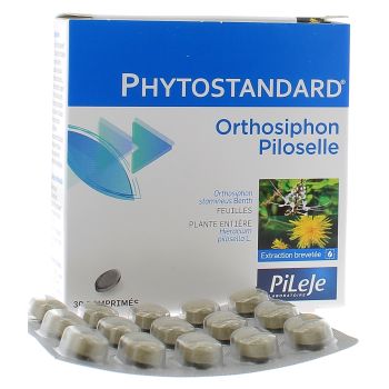 Phytostandard d'orthosiphon et de piloselle Pileje - boîte de 30 comprimés