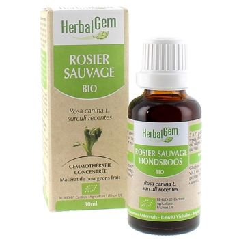 Rosier sauvage BIO Herbalgem - 30 ml