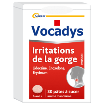 Vocadys pâte à sucer - boîte 30 pâtes