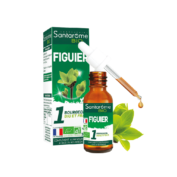 1 bourgeon BIO et frais Figuier Santarome - flacon de 30 ml