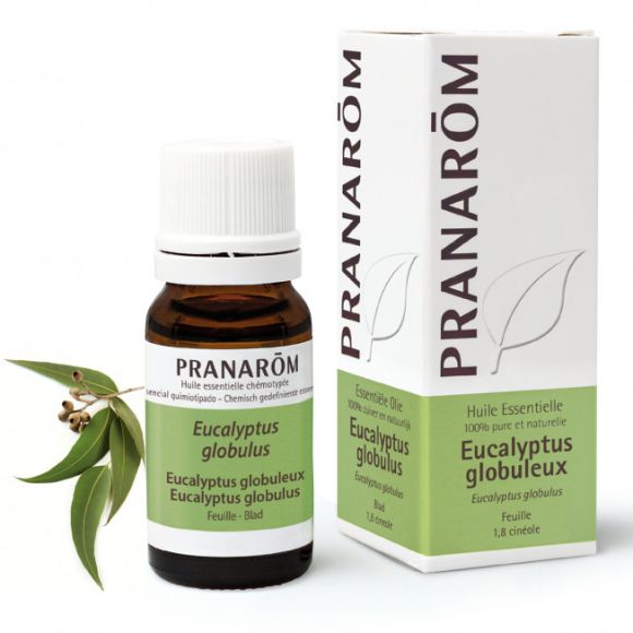 Huile essentielle d'Eucalyptus globuleux Pranarôm - flacon de 10 ml