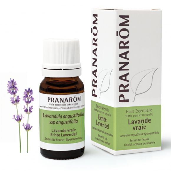 Huile essentielle de Lavande vraie Pranarôm - flacon de 10 ml