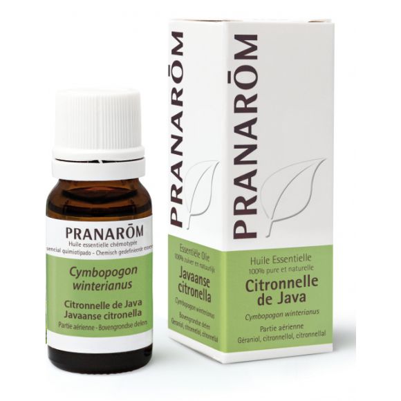 Huile essentielle de citronnelle de java Pranarôm - flacon de 10 ml